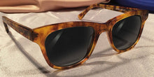 Load image into Gallery viewer, Hampshires – Smokey Gold Tortoise Shell Eye Frames
